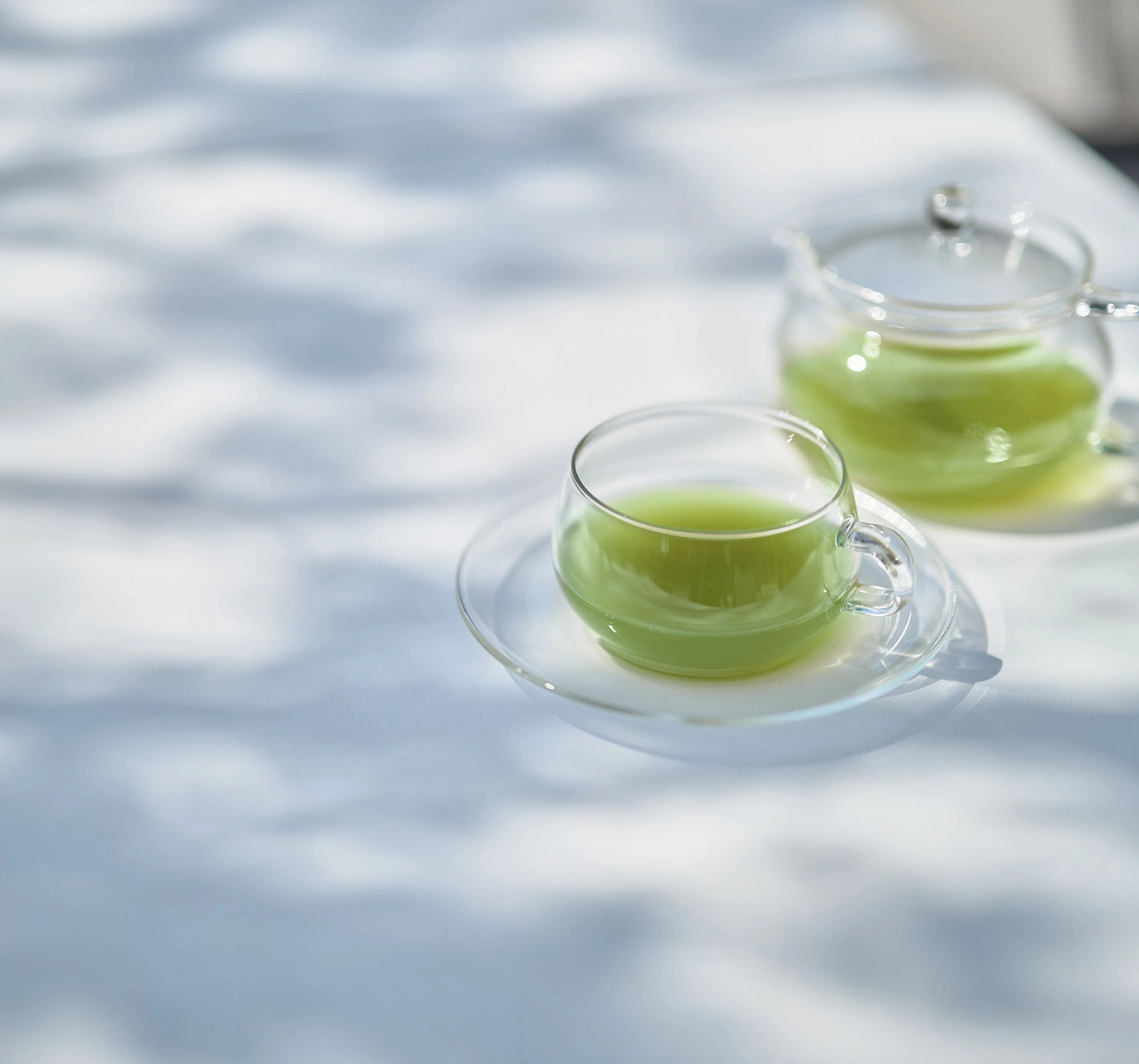 茶摘みの様子